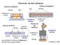 Ensayos de quimiotaxis – Técnicas de dos cámaras