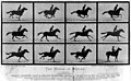 The Horse in Motion, Bildserie von Eadweard Muybridge, 1878
