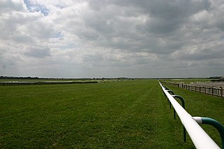 Newmarket Heath