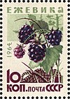 The Soviet Union 1964 CPA 3135 stamp (Wild Berries. Blackberry (Rubus fruticosus)).jpg