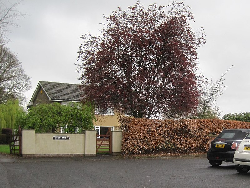 File:Thorner railway station (site), Yorkshire (geograph 3459209).jpg