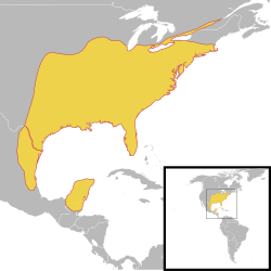 Thryothorus ludovicianus species distribution map.svg