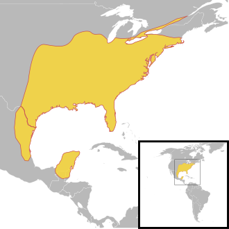 330px-Thryothorus_ludovicianus_species_distribution_map.svg.png