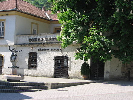 Rakoczi wine cellar in Tokaj