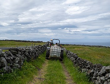 Tractor on dirt path, Caldeira, Graciosa Island, Azores, Portugal