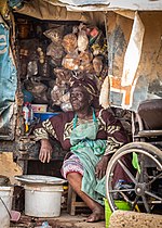 Vignette pour Médecine traditionnelle sénégalaise