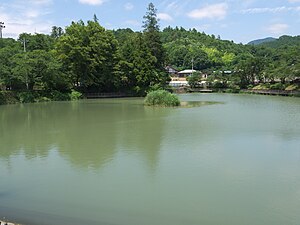 弁財天を望む盛夏の月見ヶ池