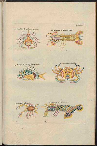 File:UB Utrecht - Louis Renard - 1782 - Natuurlyke Historie - page 258.jpg