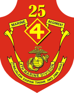 25th Marine Regiment (United States) Military unit