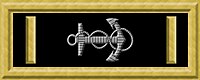 USN master rank insignia.jpg
