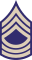 Армия США Вторая мировая война MSGT.svg