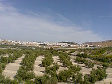 Vista de Estepa y sus campos.jpg