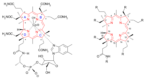 VitaminB12 overview