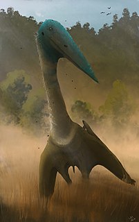 <i>Volgadraco</i> Genus of ornithocheiroid pterosaur from the Late Cretaceous