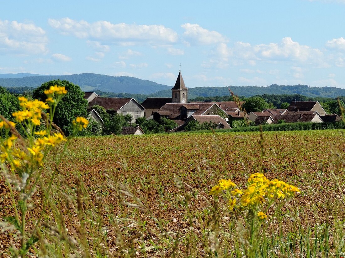 Pouilley-Français