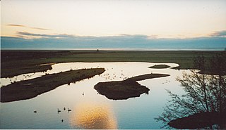 WWT Caerlaverock Wetland nature reserve in southwest Scotland