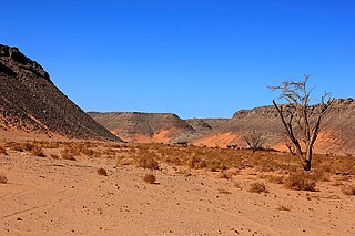Wadi Hamra (Gilf Kebir)