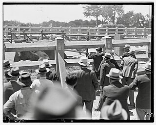 <span class="mw-page-title-main">Elephant execution in the United States</span>