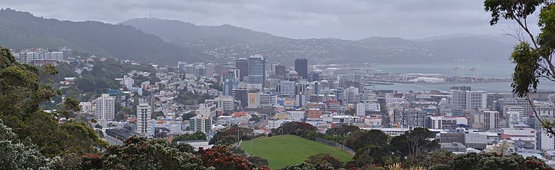 File:Wellington City - panoramio.jpg