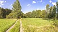 * Nomination Meadow near Fichtelberg, in "Montane meadows of the southern Fichtelgebirge" SAC --Plozessor 03:48, 7 August 2024 (UTC) * Promotion  Support Good quality, but too bad about the cut off tree on the left.--Agnes Monkelbaan 04:07, 7 August 2024 (UTC)