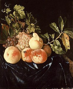 Pêches et raisins, 1705 Ashmolean Museum