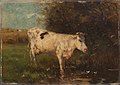Witte koe Rijksmuseum SK-A-2995.jpeg