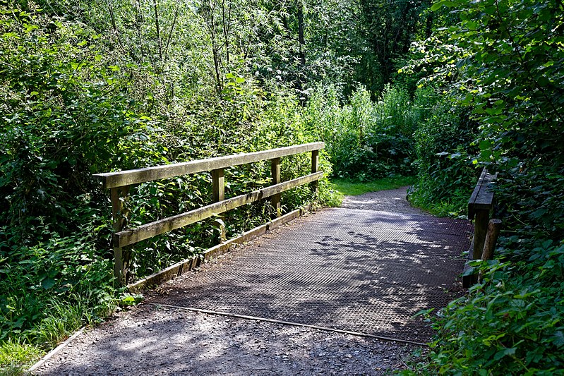 File:Woods Mill, Sussex Wildlife Trust, England - footpath bridge.jpg