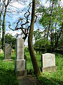 Čeština: Židovský hřbitov ve Stříteži, okres Jihlava. English: Jewish cemetery by the village of Střítež, Jihlava District, Vysočina Region, Czech Republic. This is a photo of a cultural monument of the Czech Republic, number: 37764/7-5233. Památkový katalog  · MIS  · hledat obrázky  · hledat seznamy  · Wikidata