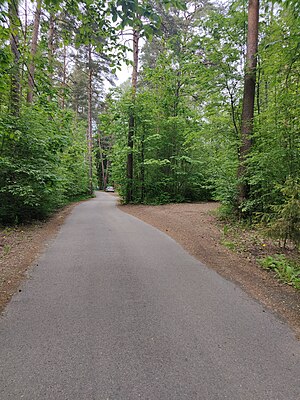 Десантная улица (Зеленогорск)