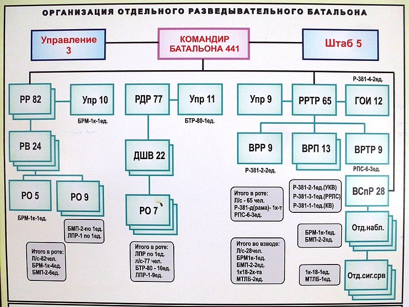 Рота род