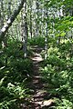 20140908 Ben Eoin Provincial Park & Trail 07.jpg