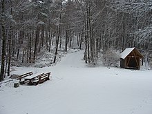 2016 Palatinate Forest 068 Benderplatz.JPG