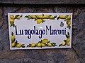 typical street sign with lemons