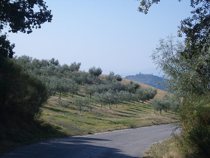 File:263 Weg nach Assisi (3909765412).jpg