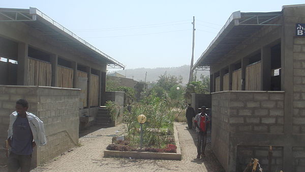 A public toilet at the Adama University (Nazret). This toilet uses the urine diversion technology that allows urine and feces to be collected separate