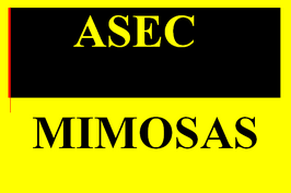 ASEC Mimosas