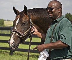 A.P. Indy (horse).jpg