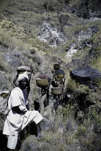 File:ASC Leiden - NSAG - van Dis 4 - 043 - A file of five women with salt in wicker baskets - Jebel Marra (Jabal Marra), West Darfur, Sudan - 27 December 1961.tif