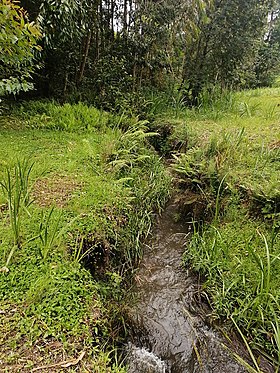 Meru, Kenya