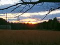 Миниатюра для Файл:A view of the countryside -Keswick, VA.jpg