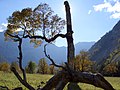 Befindet sich in Österreich