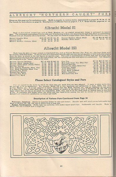 File:Albrecht's Fur Facts & Fashion 1912-13, Saint Paul, Minnesota -41.jpg