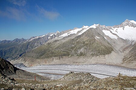 Aletsch fg04.jpg