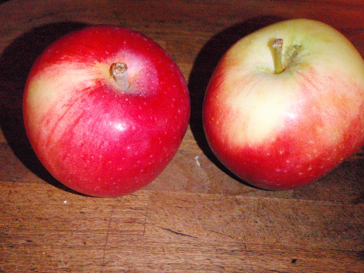 Сорт яблок для запекания детям