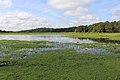 Alligator Lake