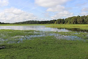 Aligator Lake 07.jpg