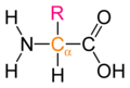 The general structure of an α-amino acid. The α-carbon is displayed in orange, and the side chain is denoted by R. This style of diagram does not indicate whether the amino acid is an L or a D enantiomer.