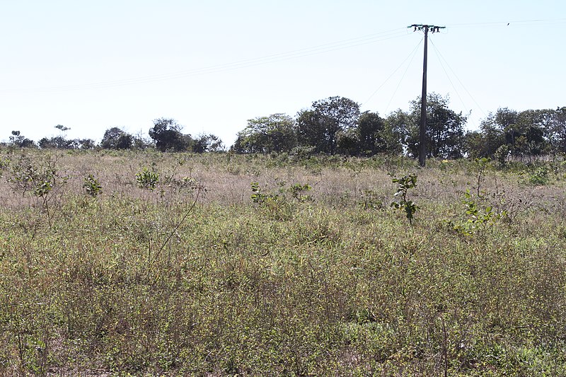 File:Alto Araguaia - State of Mato Grosso, Brazil - panoramio (157).jpg