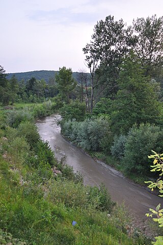 <span class="mw-page-title-main">Amaradia (Dolj)</span> River in Dolj, Romania