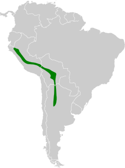 Amazilia chionogaster map.svg
